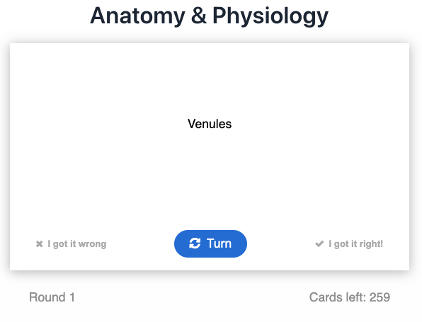 Flashcards Screen Shot